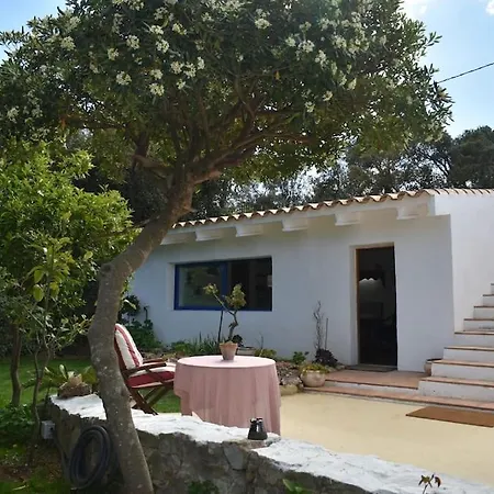 House With Garden Hotel