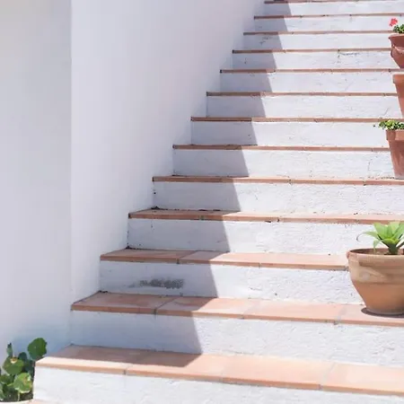 Hotel House With Garden Girona