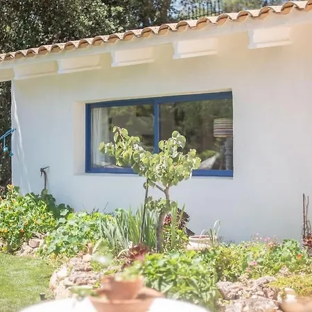 Hotel House With Garden Girona